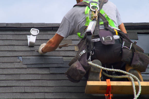 Best Roof Moss and Algae Removal  in Wasilla, AK