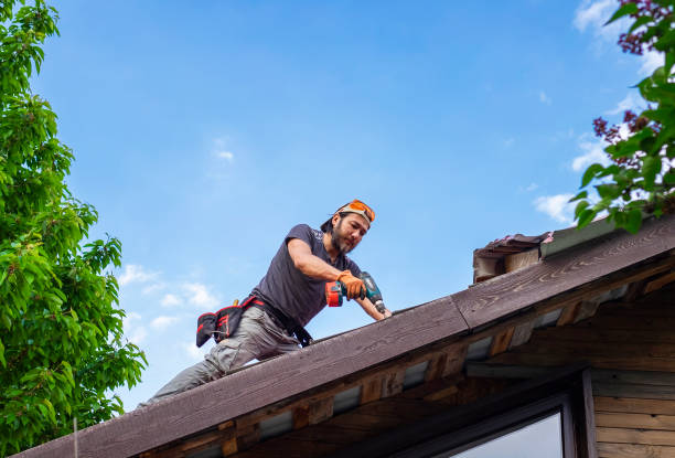 Best Asphalt Shingle Roofing  in Wasilla, AK
